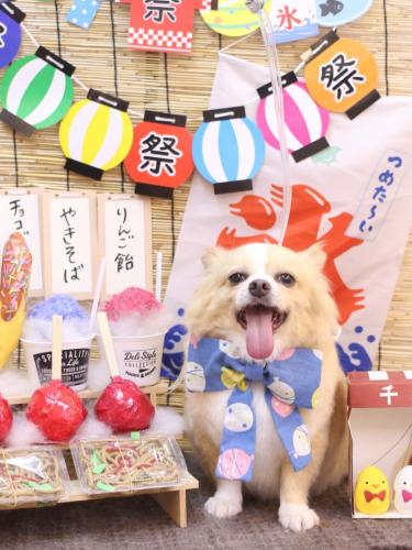 20240731マロ太くん